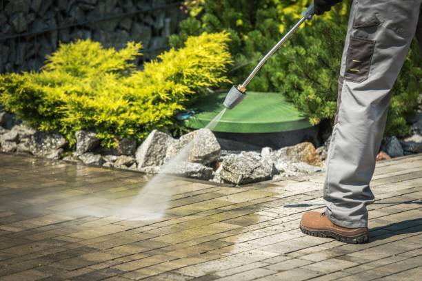 Best Gutter Cleaning and Brightening in Lockport, IL